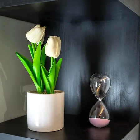 Suriani Apartment *